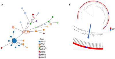 Case report: First report of Legionella pneumophila and Bordetella bronchiseptica coinfection in an immunocompromised patient